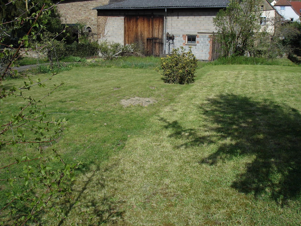 Rasen – Odernheimer Block